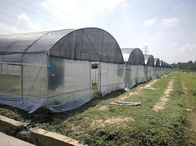 巧用钢结构设计提升建筑效率